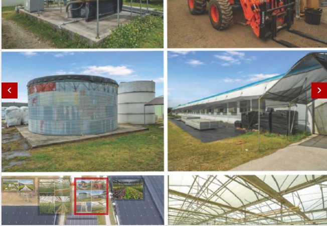 Commercial/Sale/South Florida Nursery